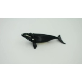 Collectible Wildlife Gifts Right Whale, Animal, Realistic Toy , Kids, Hand Painted, Gift, 3" CH426 BB109