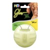 Fancy Pets Juguete Pelota Glow para Perro Que Brilla en