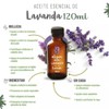 OLEUM VITAE Aceite Esencial de Lavanda 120ml. Lavandula Angustifolia. 100%