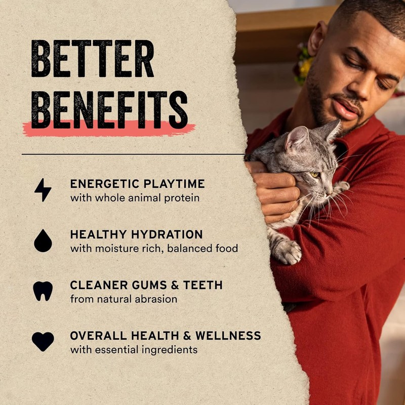 Vital Essentials Freeze Dried Raw Cat Treats, Minnows Treats, 0.5