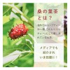 Ogrelife Domestic Handmade Mulberry Leaf Tea 0.1 oz (2.5 g)