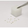 Living Farm Endive Sponge Media with Seeds (Urethane Media for
