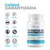 Glicinato de Magnesio 500mg - 100 Cápsulas