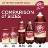 dr pepper cream soda 16.9 oz 12 bottles total 202