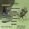 Aceite De Orégano Y Orégano Coco 30ml Alto En Carvacrol