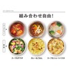 Thermos JBY-551 P-GY Vacuum Insulated Soup Lunch Set, 10.1 fl