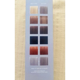 Kristin ESS KRISTEN ESS HAIR Color Depositing Conditioner BLUE MOOD 6.7oz NIB