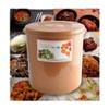 E-Jen Premium Kimchi, Sauerkraut Container Probiotic Fermentation with Inner Vacuum