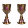 Beistle S57846AZ2, 2 Piece Plastic Jeweled Goblets, 8 Ounces