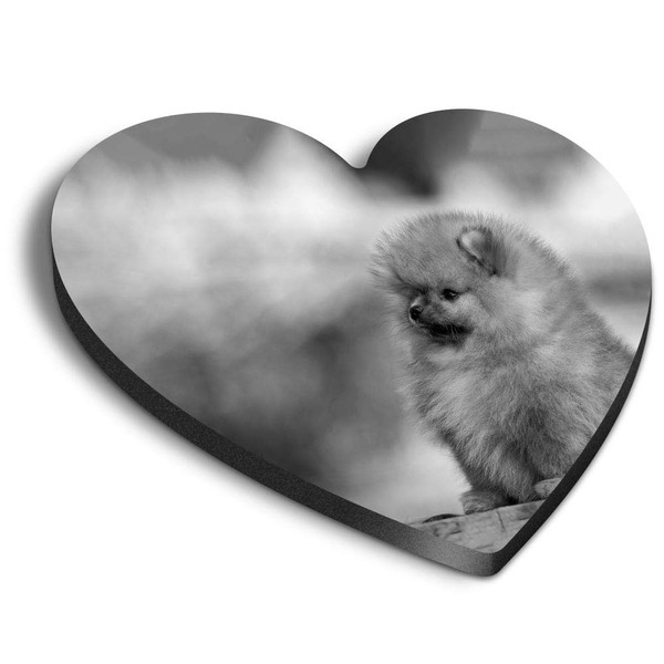 1 x Heart MDF Magnets - Fluffy Pomeranian Puppy Dog