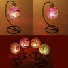 Ornament Display Stand,6 pack Air Plants Holder, Planter Terrariums Hanger,