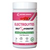 Electrolytes Powder No Sugar, Fresh Watermelon Electrolyte Powder, Hydration Powder,