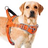 ADVENTUREMORE No Pull Dog Harness for Large Dogs, Sport Dog