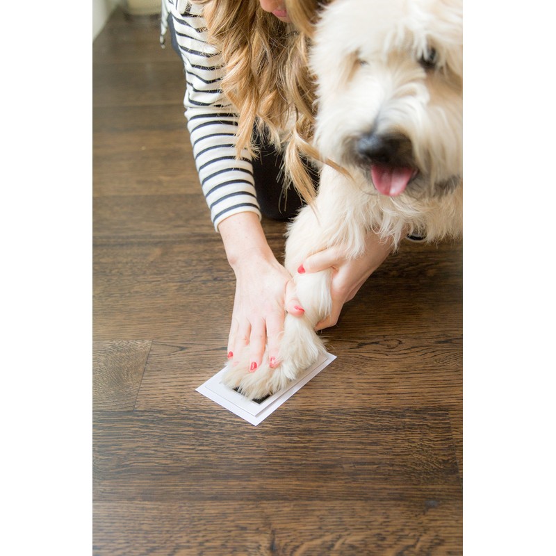 Kate & Milo Clean Touch Ink Pad, No Touch Ink