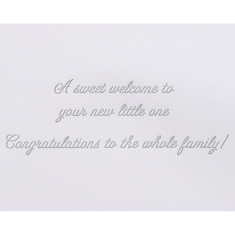Papyrus New Baby Card (Sweet Welcome)