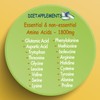 Marine Collagen Type1&3 1800mg, Biotin 10000mcg/serving, Hyaluronic Acid, Vitamins, Minerals,