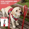 PAWDAY No-Pull Dog Harness with Dog Leash Breathable Mesh Adjustable