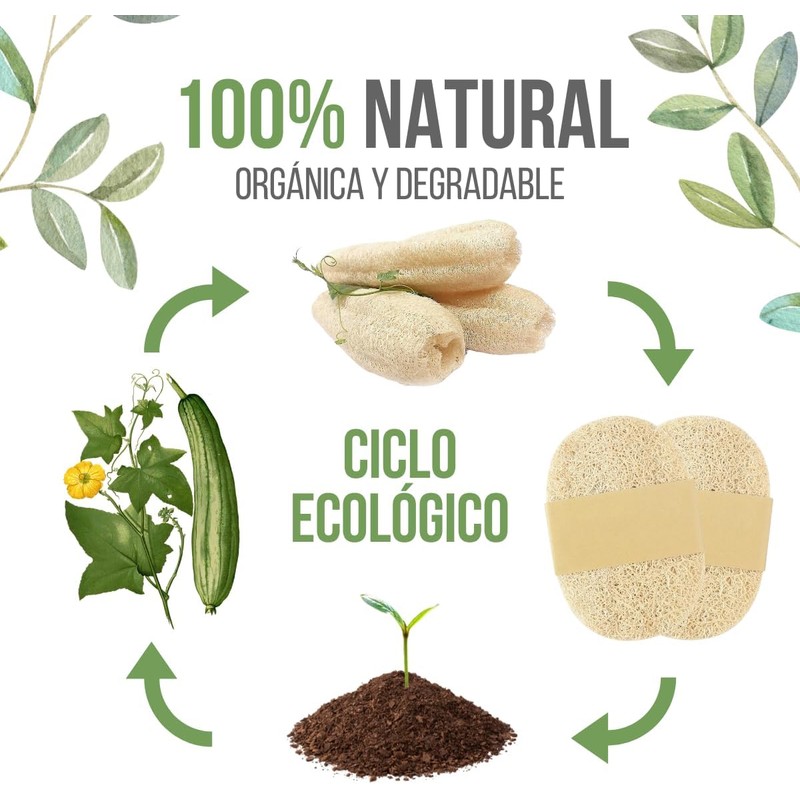 5 Esponja Vegetal Exfoliante Lufa 100% Natural Limpieza Corporal Elimina