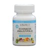 ekurekutexikkusapurimento ekinasea 90cap (Echinacea)