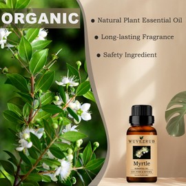 Myrtle Essential Oils 10ML, Organic 100% Pure and Natural Myrtle Essential Oil for Aromatherapy Diffuser - 0.33 Fl Oz/Myrtle
