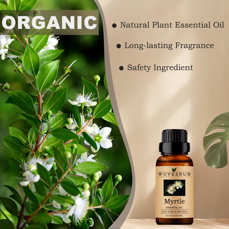 Myrtle Essential Oils 10ML, Organic 100% Pure and Natural Myrtle