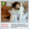Necoichi Extra Wide Raised Cat Food Bowl, Elevated, Prevent Neck