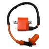 Unbranded Ignition Coil Built-In CDI Suzuki ALT50 Trail LT-A50 Quadmaster