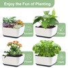 Succulent Pots 6 Inch Shallow Herb Planters with Drainage Hole