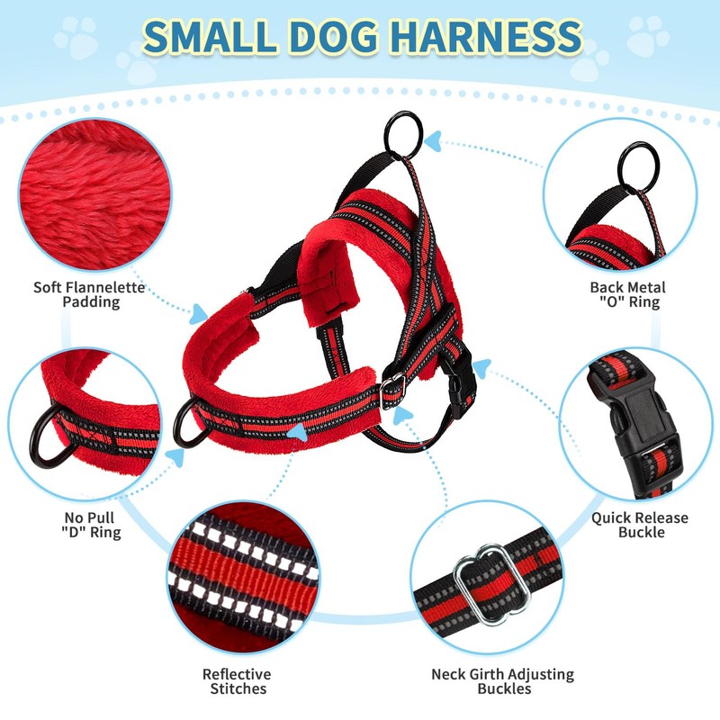 SlowTon No Pull Small Dog Harness and Leash Set, Puppy