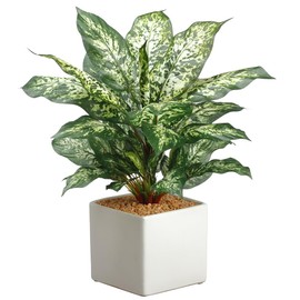 17.5" Dieffenbachia Silk Plant w/Ceramic Pot -Green/Variegated (Pack of 3)
