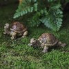 siqiaole Realistic Simulation Mini Turtle Figurines Resin Set of 2,