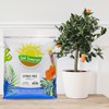 Citrus Tree Potting Soil Mix (12 Quarts), Special Blend for