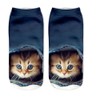 Donne Ragazze Cute Cat 6PC Stampa calze sportive calza calzatura
