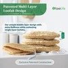 Esponja de Lufa Natural Exfoliante Corporal LooLife