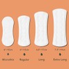 Rael Organic Pads Value Packs - Regular Pads, Overnight Pads,