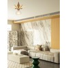 SHUKEFER Star Flush Mount Ceiling Light Fixture E26/E27 Moravian Gold