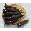 CEMEHA SEEDS - Eggplant Aubergin Black Long Pop Thai Non