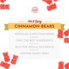 Sweet Candy Company Red Cinnamon Gummy Bears - Hot and