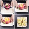 Apple Corer & Apple Cutter,1 Pcs Stainless Steel Apple Slicer