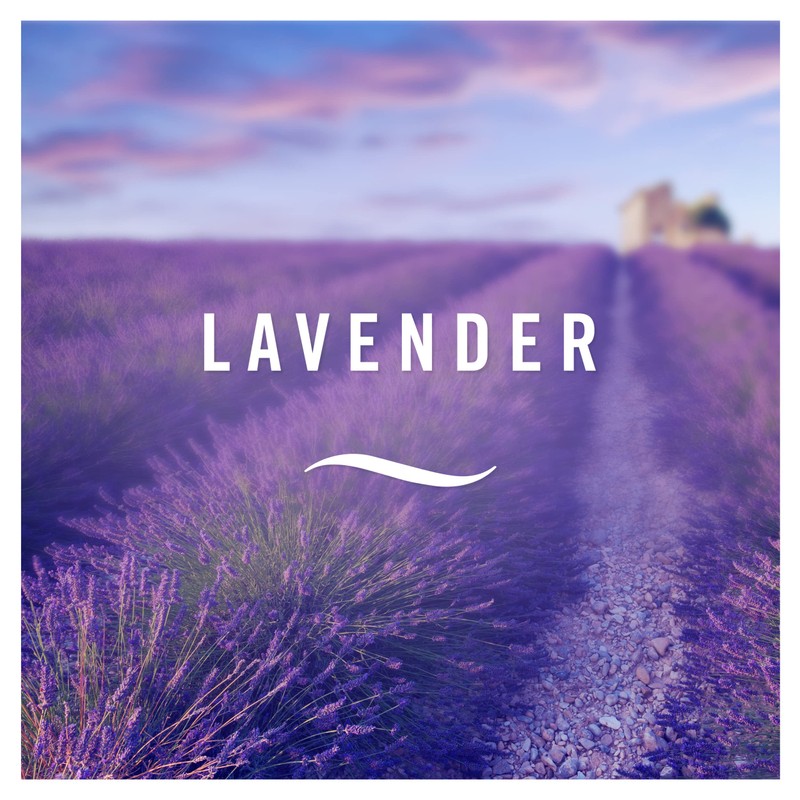 Febreze 300 ml Lavender Air Freshener Spray - Pack of