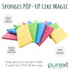 PureXT 16 Pop-Up Eco Sponges | Compostable, Cellulose | Dish