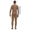 Full Bodysuit With Zipper Helper Unisex Adult Costume Without Hood
