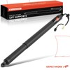 A-Premium Rear Left Power Lift Support Shock Strut Compatible with