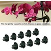 Plant Clips,100pcs Orchid Clips Plastic Plant Climbing Wall Fixture Clips,