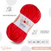 Wollidu Gina Chenille Yarn for Knitting and Crocheting, 1 x