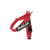 Julius-K9 IDC Belt Harness, red