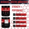 Noxel's Health Creatine Monohydrate Powder - 100 Servings (5g) of