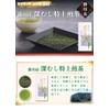 Kakegawa Deep Mushi Special Sencha Tea 3.5 oz (100 g)
