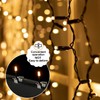 Prmape Gutter Hooks for Fairy Lights, Pack of 100 Mini