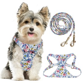 TEWIWAP XXS Dog Harness and Leash Set Lightweight Pet Harnesses with Cute Bowtie Floral Pattern, Adjustable Escape Proof Puppy Vest Extra Small Size Dogs for Daily Walking Parties Holiday